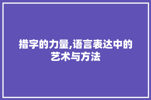 措字的力量,语言表达中的艺术与方法