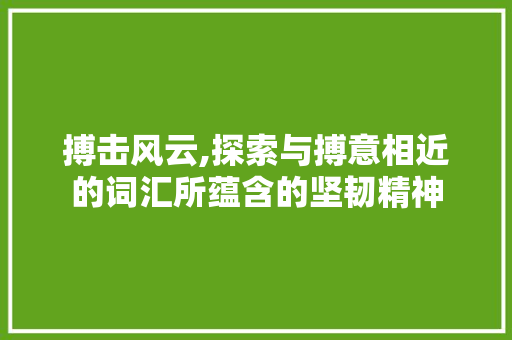 搏击风云,探索与搏意相近的词汇所蕴含的坚韧精神