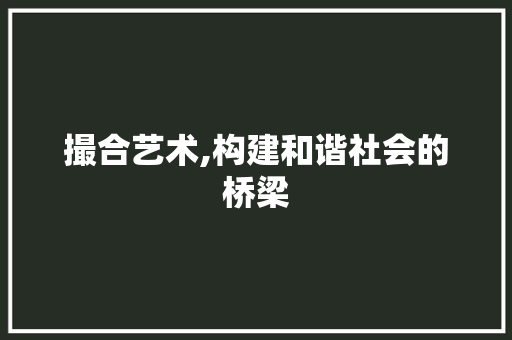 撮合艺术,构建和谐社会的桥梁