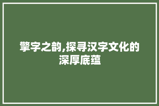 擎字之韵,探寻汉字文化的深厚底蕴