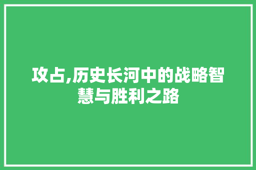 攻占,历史长河中的战略智慧与胜利之路  第1张