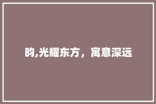 昀,光耀东方，寓意深远