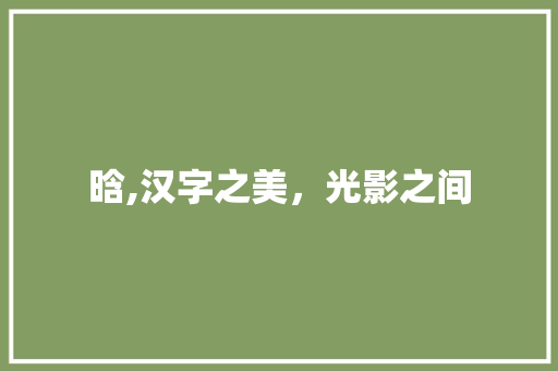 晗,汉字之美,光影之间