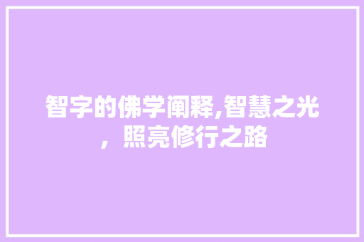 智字的佛学阐释,智慧之光,照亮修行之路