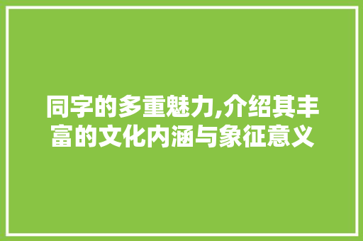 同字的多重魅力,介绍其丰富的文化内涵与象征意义