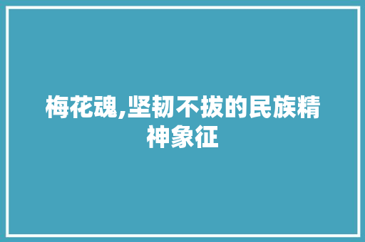 梅花魂,坚韧不拔的民族精神象征