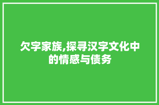 欠字家族,探寻汉字文化中的情感与债务