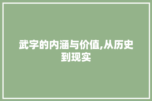 武字的内涵与价值,从历史到现实