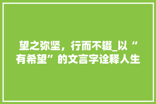 望之弥坚，行而不辍_以“有希望”的文言字诠释人生奋斗之路