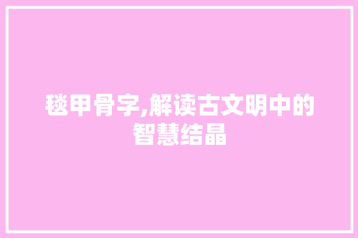 毯甲骨字,解读古文明中的智慧结晶