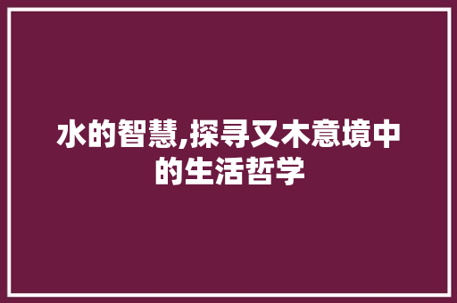 水的智慧,探寻又木意境中的生活哲学