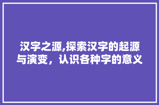 汉字之源,探索汉字的起源与演变,认识各种字的意义