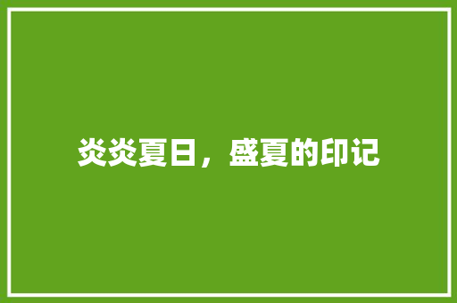炎炎夏日，盛夏的印记