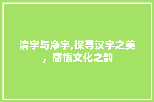清字与净字,探寻汉字之美,感悟文化之韵