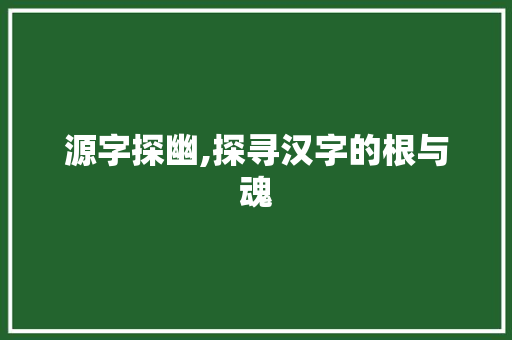源字探幽,探寻汉字的根与魂