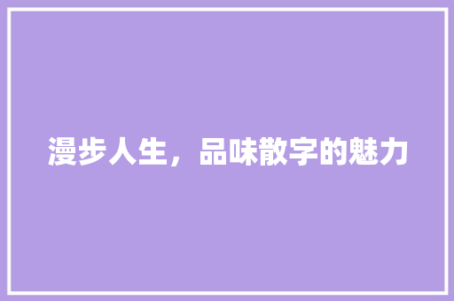 漫步人生，品味散字的魅力