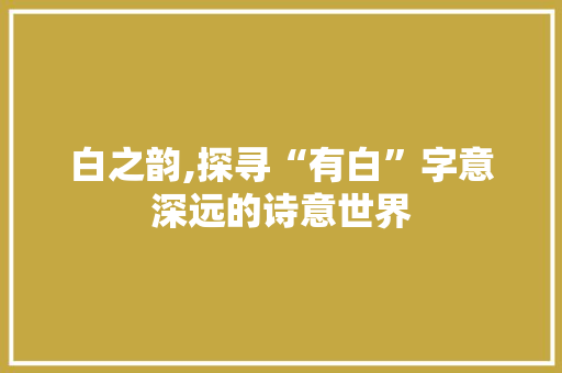 白之韵,探寻“有白”字意深远的诗意世界