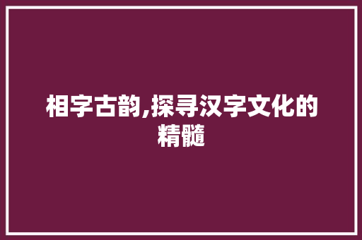 相字古韵,探寻汉字文化的精髓