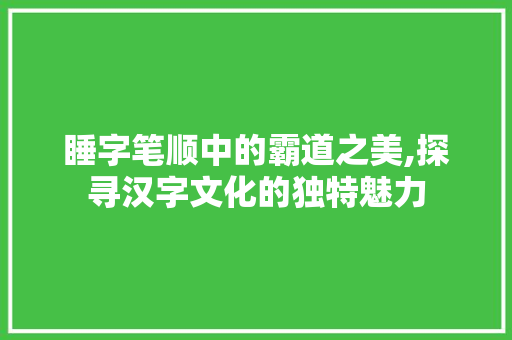 睡字笔顺中的霸道之美,探寻汉字文化的独特魅力
