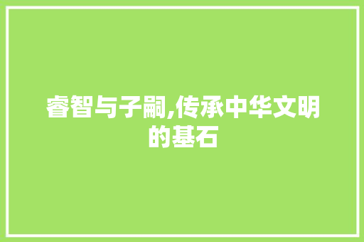 睿智与子嗣,传承中华文明的基石  第1张