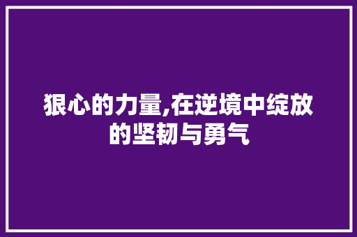 狠心的力量,在逆境中绽放的坚韧与勇气