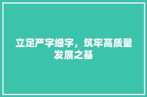 立足严字细字，筑牢高质量发展之基