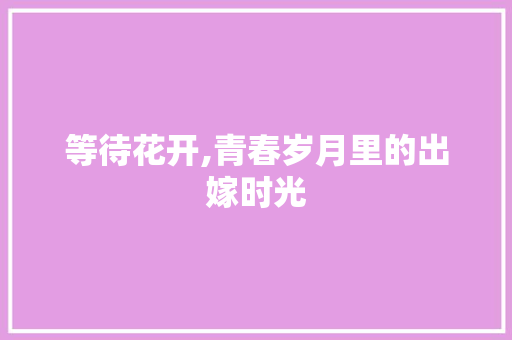 等待花开,青春岁月里的出嫁时光 第1张 等待花开,青春岁月里的出嫁时光 第1张
