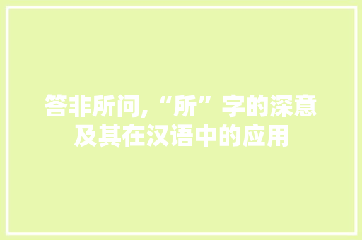 答非所问,“所”字的深意及其在汉语中的应用