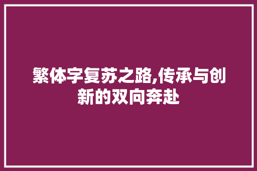 繁体字复苏之路,传承与创新的双向奔赴