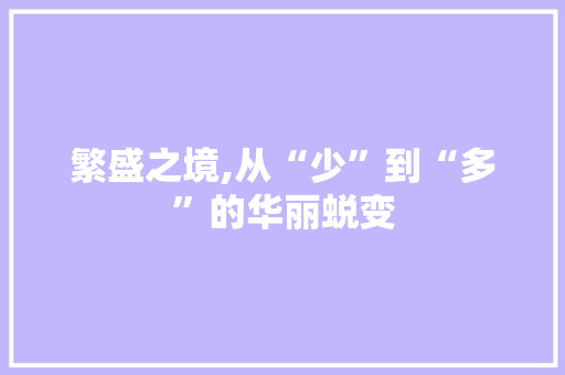 繁盛之境,从“少”到“多”的华丽蜕变