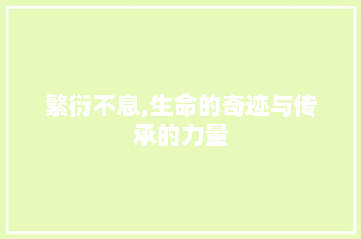 繁衍不息,生命的奇迹与传承的力量