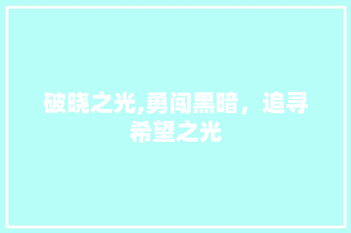 破晓之光,勇闯黑暗，追寻希望之光