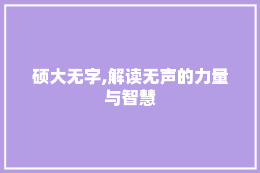 硕大无字,解读无声的力量与智慧