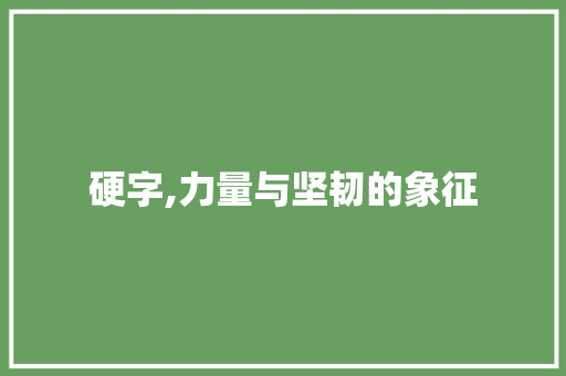硬字,力量与坚韧的象征  第1张