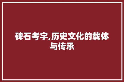 碑石考字,历史文化的载体与传承