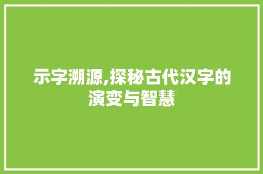示字溯源,探秘古代汉字的演变与智慧