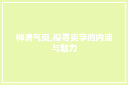 神清气爽,探寻爽字的内涵与魅力