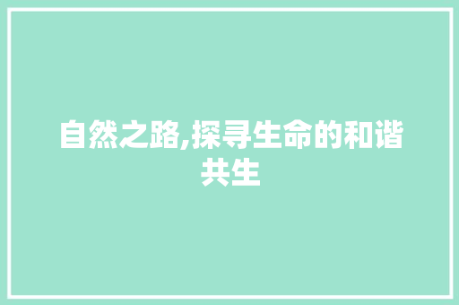 自然之路,探寻生命的和谐共生 第1张 自然之路,探寻生命的和谐共生 第1张