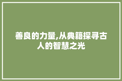 善良的力量,从典籍探寻古人的智慧之光 第1张 善良的力量,从典籍探寻古人的智慧之光 第1张