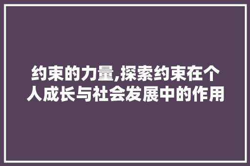 约束的力量,探索约束在个人成长与社会发展中的作用