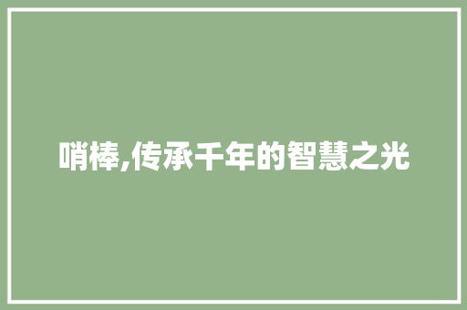 哨棒,传承千年的智慧之光