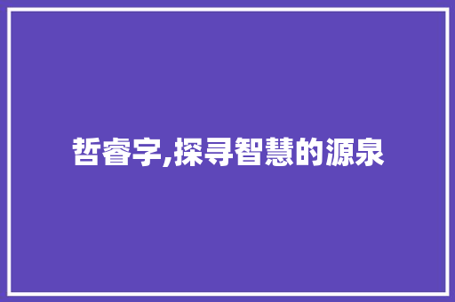 哲睿字,探寻智慧的源泉