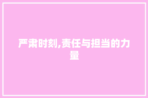 严肃时刻,责任与担当的力量