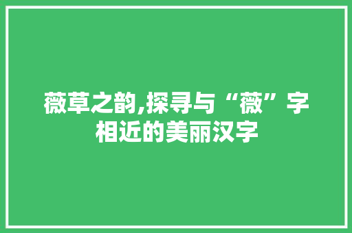 薇草之韵,探寻与“薇”字相近的美丽汉字