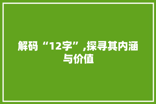 解码“12字”,探寻其内涵与价值