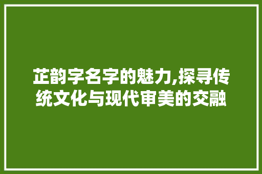 芷韵字名字的魅力,探寻传统文化与现代审美的交融 第1张 芷韵字名字的魅力,探寻传统文化与现代审美的交融 第1张