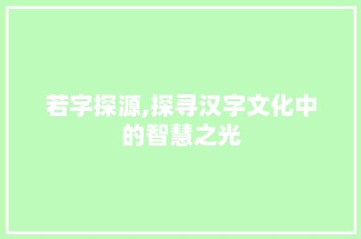 若字探源,探寻汉字文化中的智慧之光