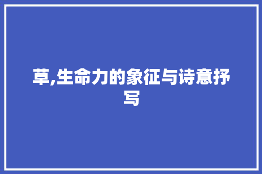草,生命力的象征与诗意抒写