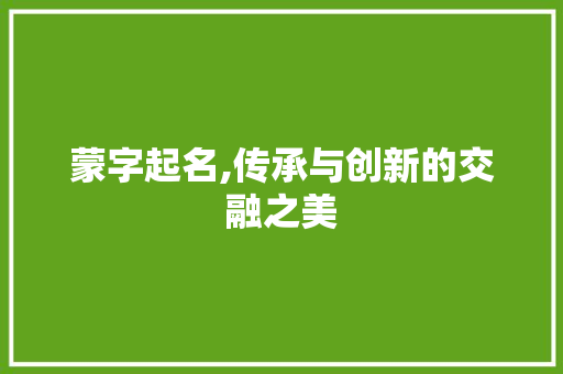 蒙字起名,传承与创新的交融之美 第1张 蒙字起名,传承与创新的交融之美 第1张