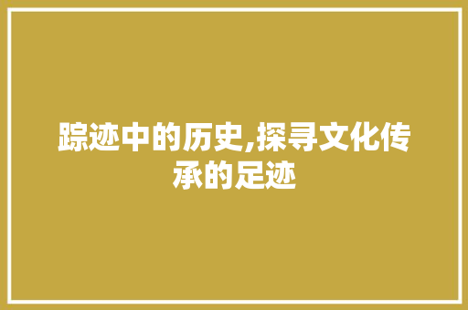 踪迹中的历史,探寻文化传承的足迹